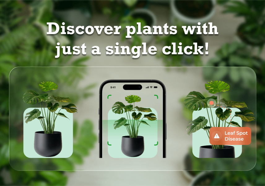 Real-Life Moments a Plant Care App Can Rescue You